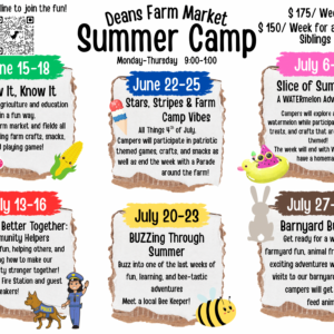 Summer Camp Registration